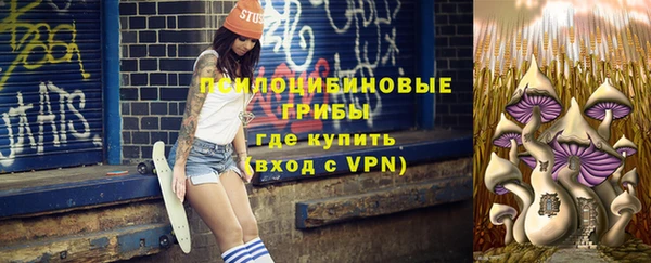 mdpv Инта