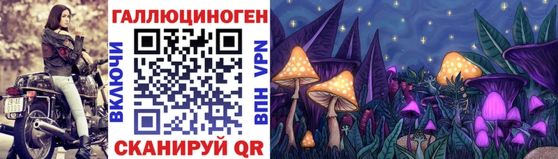 Купить где  Красноярск  Галлюциногенные грибы GOLDEN TEACHER 